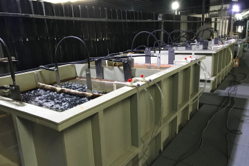 食品行業水處理案例
